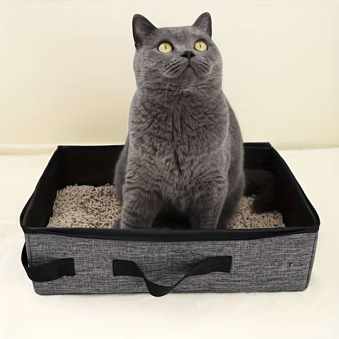 Pet supplies color grey