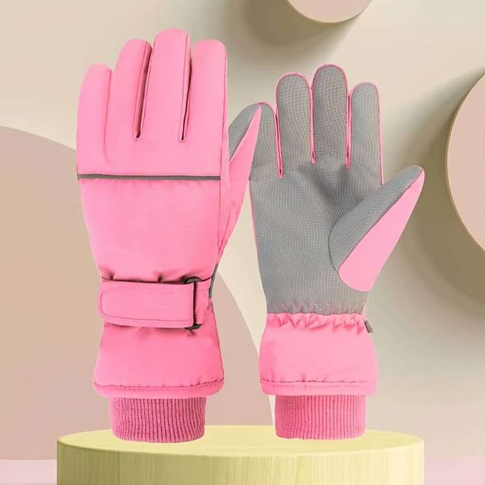 Winter Gloves Color Grey