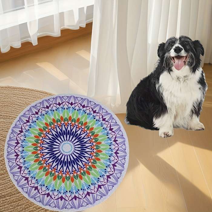 Pet Supplies Color Random Color 2Pcs Size Small