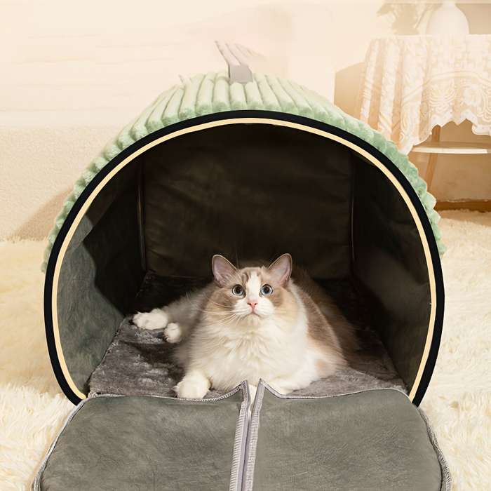 Pet supplies color Green size L