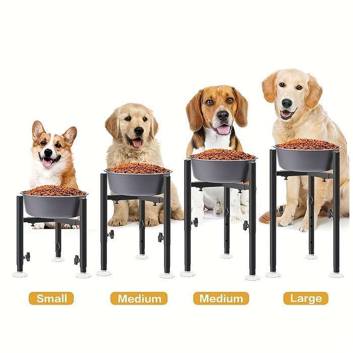 Pet supplies color Black