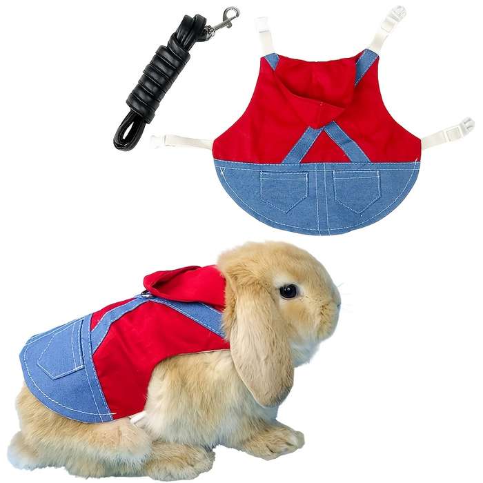 Pet Supplies Color Yellow Size M