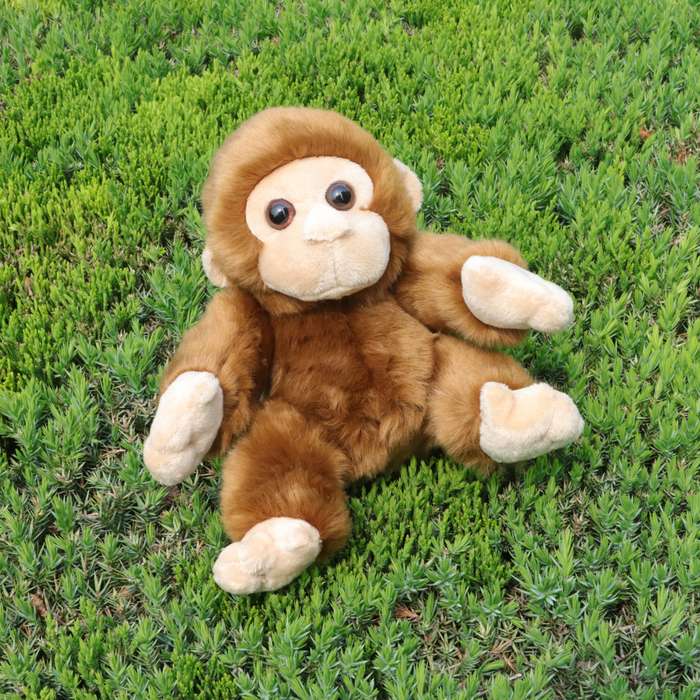 Toy Dolls color Brown