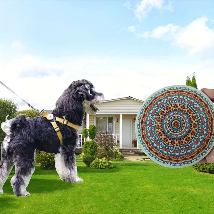 Pet Supplies Color Random Color 2Pcs Size Small