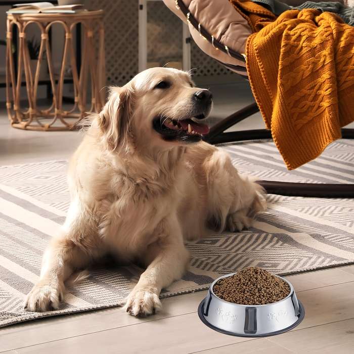 Pet Supplies Model Size  5.9 Inches   15 Cm