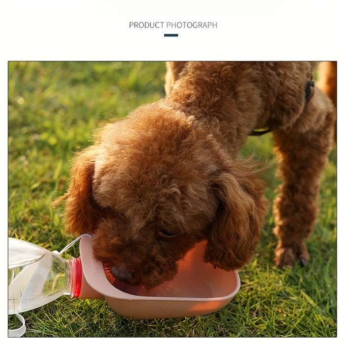 Pet Supplies Color Gray