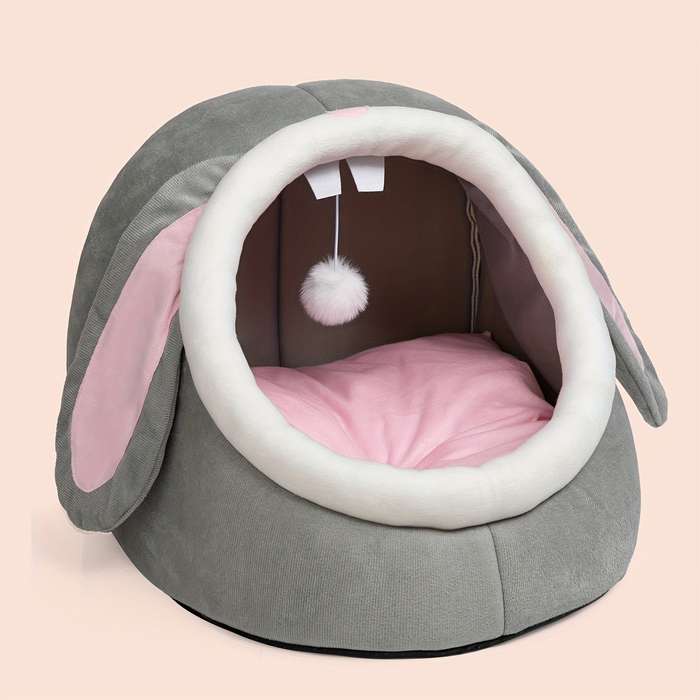 Pet supplies size M