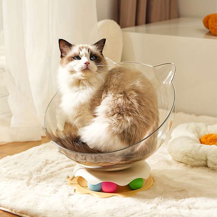 Pet supplies color Yellow Model Era