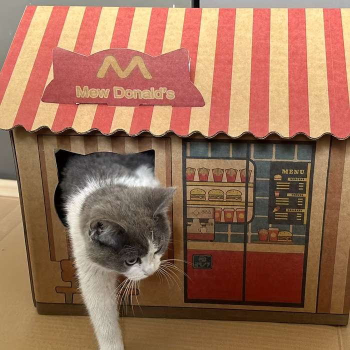 Pet Supplies Material Corrugated Paper Cat Nest