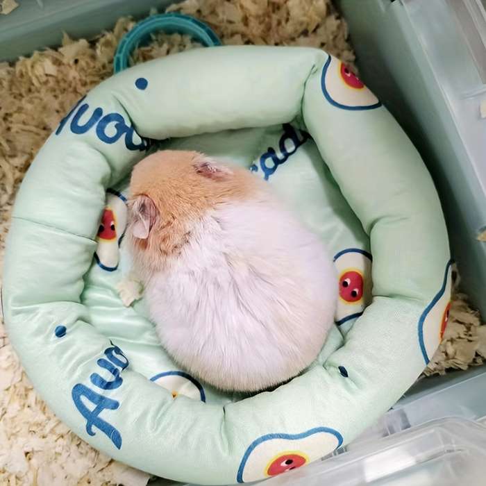Pet supplies color Blue