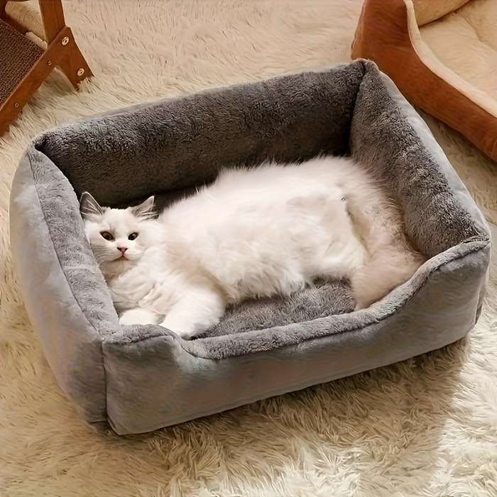 Pet supplies color Gray