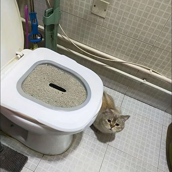 Pet supplies color grey Model Self    service cat toilet