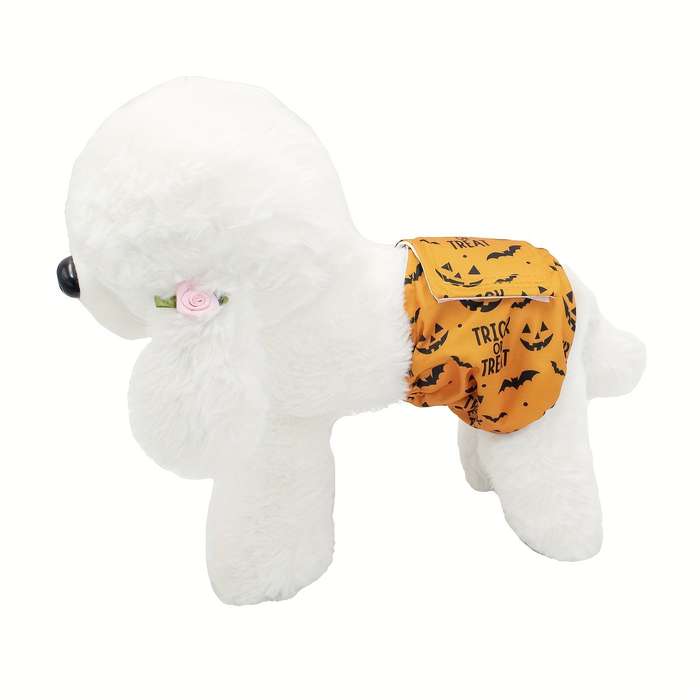 Pet supplies size M