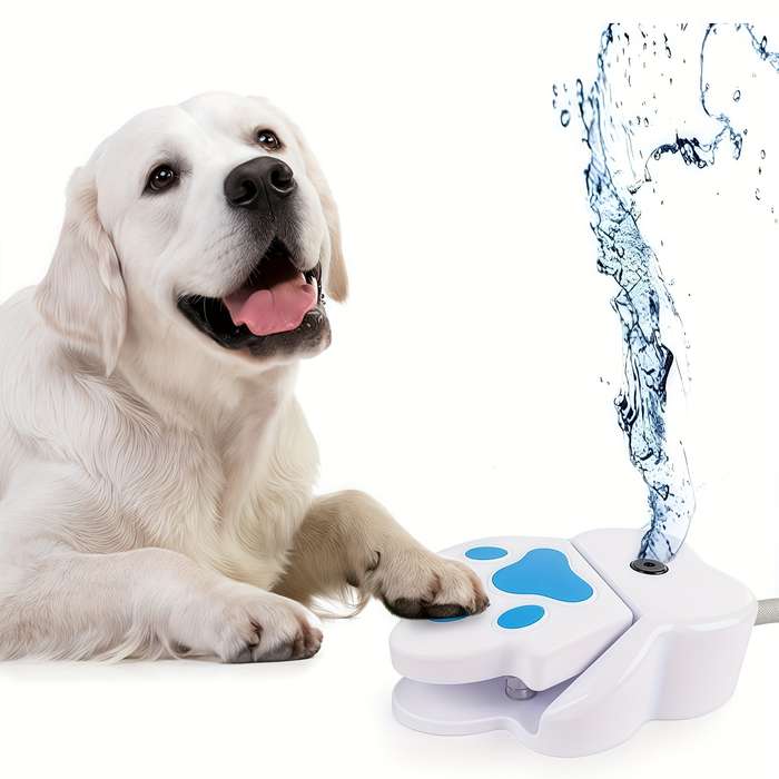 Pet Supplies Items Dog Foot Fountain