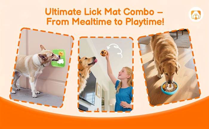 Pet Supplies Model Fr6