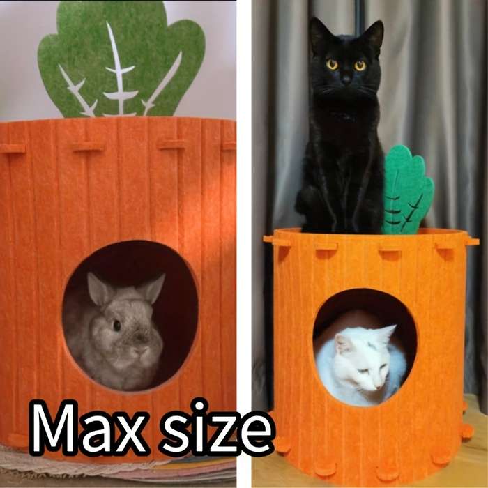 Pet supplies Quantity 2pcs Large