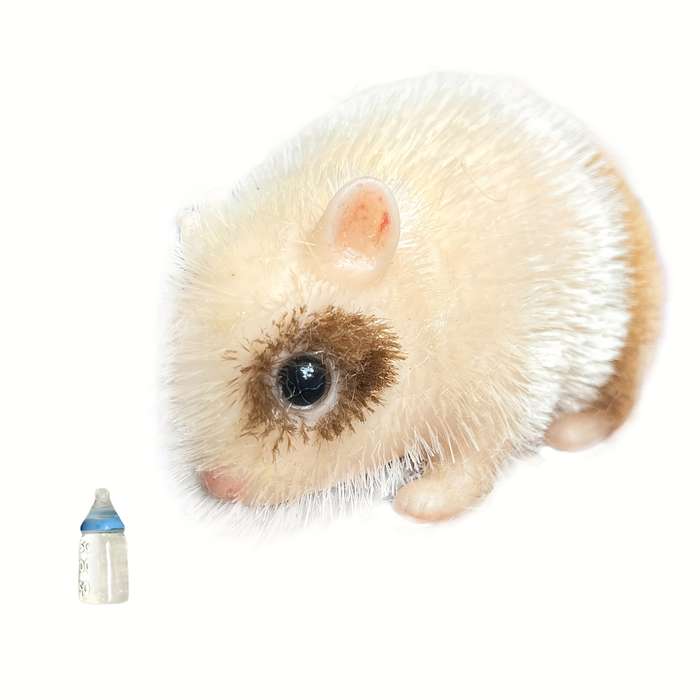 Toy Doll Size 4.3Inch 11Cm