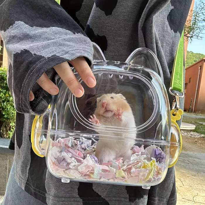 Pet Supplies Color Transparent Small Pet Carrier Cage