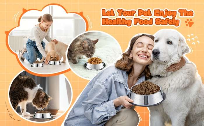 Pet Supplies Model Size  5.9 Inches   15 Cm