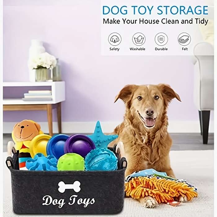 Storage And Organizationcolor Black