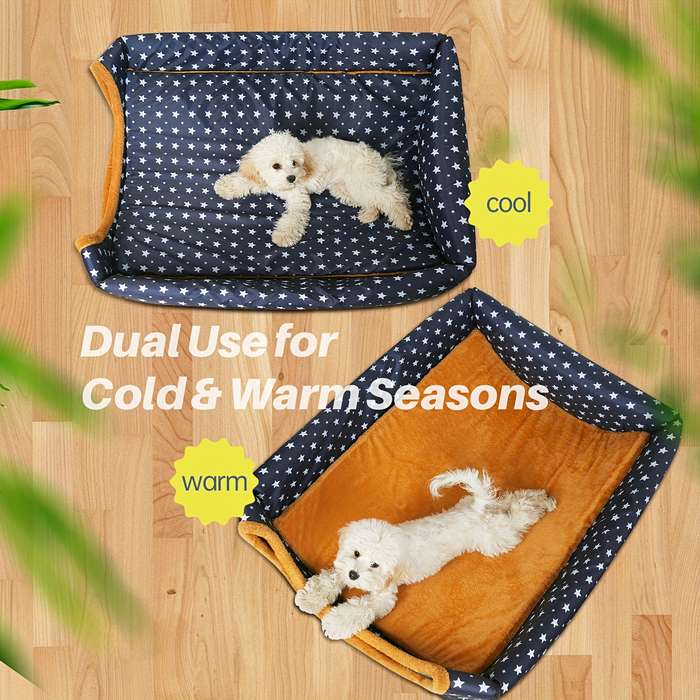 Pet supplies color Blue Star size S