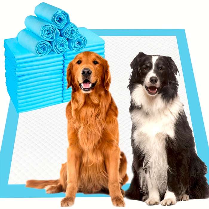 Pet supplies color Blue 100PC Model P                    02