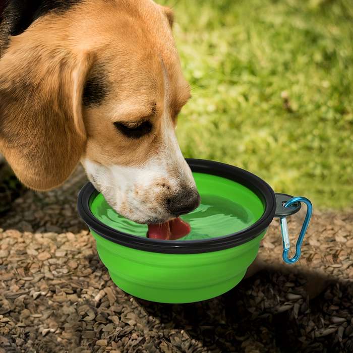 Pet Supplies Style Rainbow 1 Capacity 350Ml