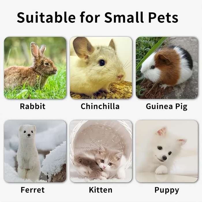Pet Supplies Color Green Quantity 6 Pieces
