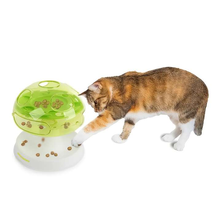 Pet Supplies Color Green