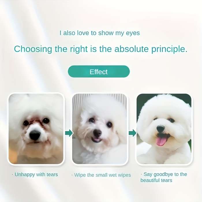 Pet supplies Quantity 200pcs