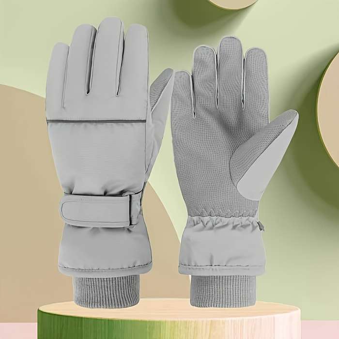 Winter Gloves Color Grey