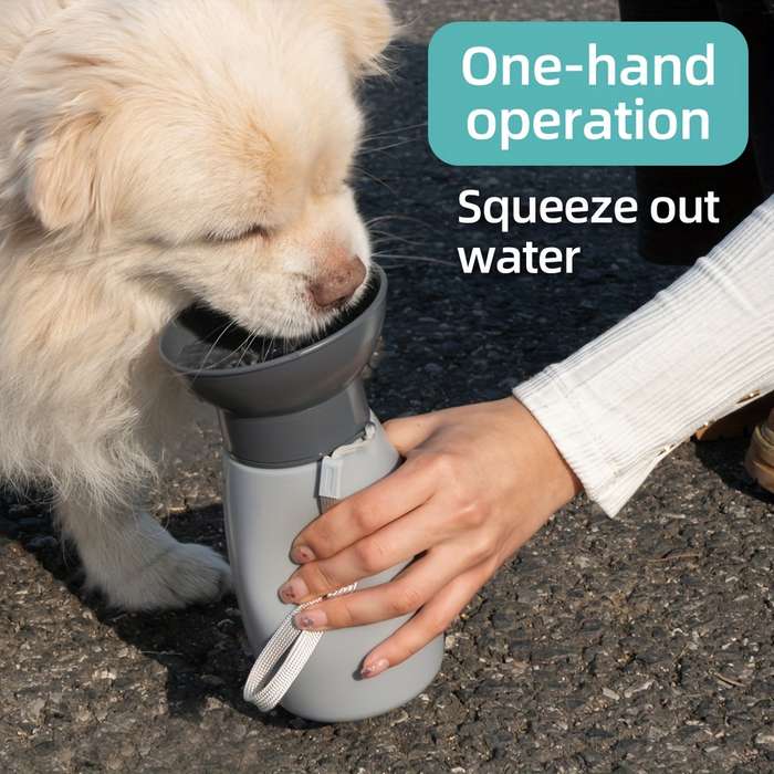 Pet Supplies Color Grey Capacity 600Ml