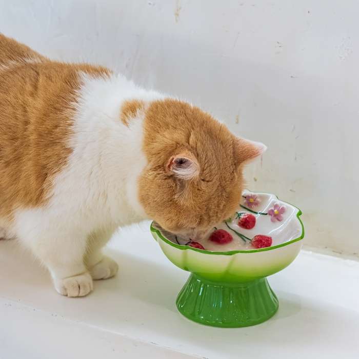 Pet Supplies Color Hand Painted Strawberry Highball Glass   Pink