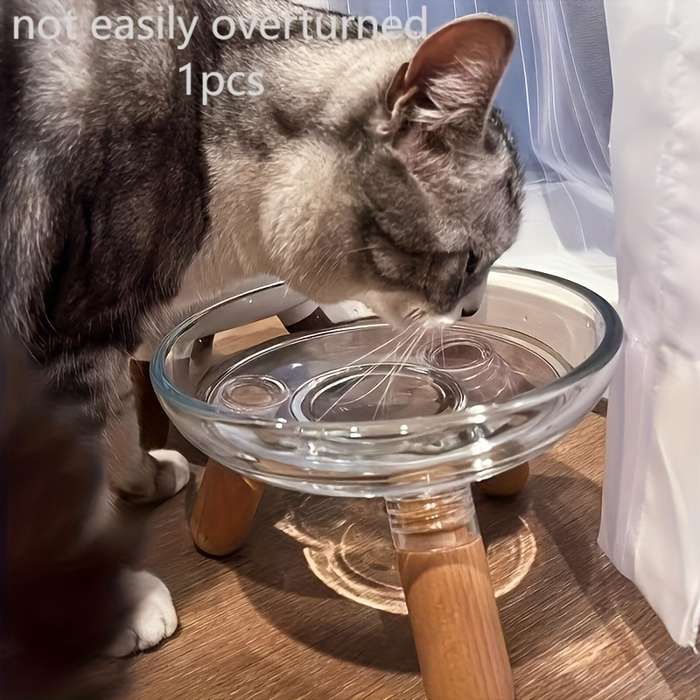 Pet supplies Model Transparent bowl  Add  light    colored shelf