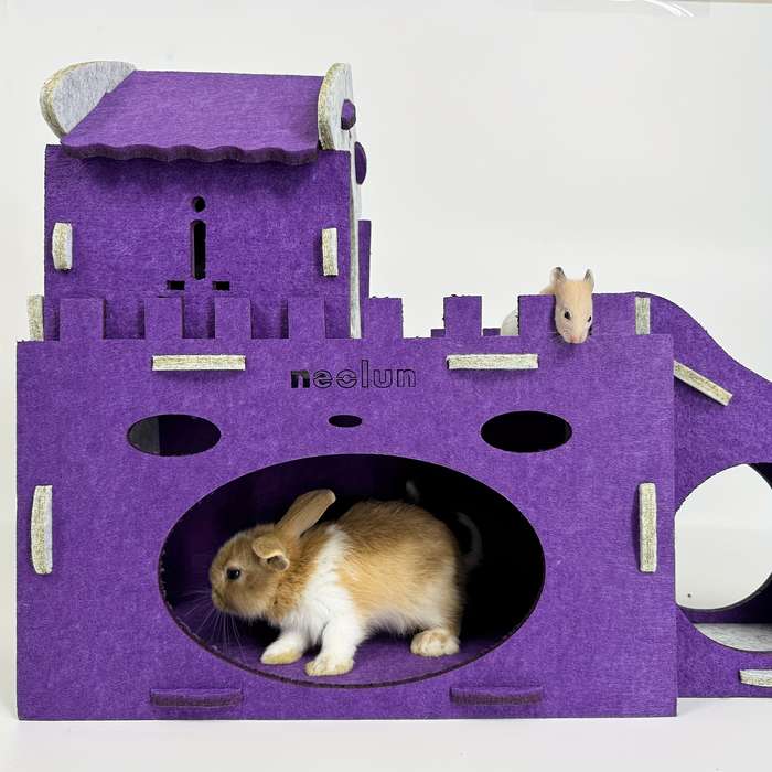 Pet Supplies Color Purple