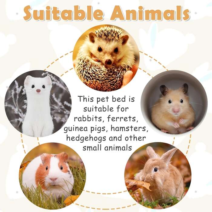 Pet Supplies Color Colorful Grid