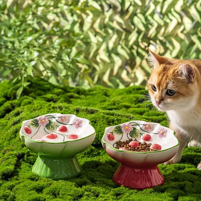 Pet Supplies Color Hand Painted Strawberry Highball Glass   Pink