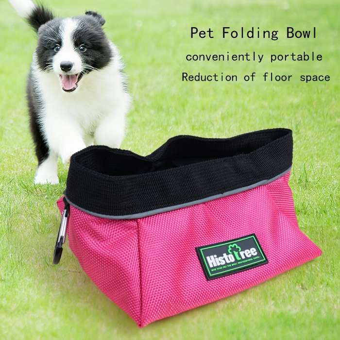 Pet Supplies Color Orange