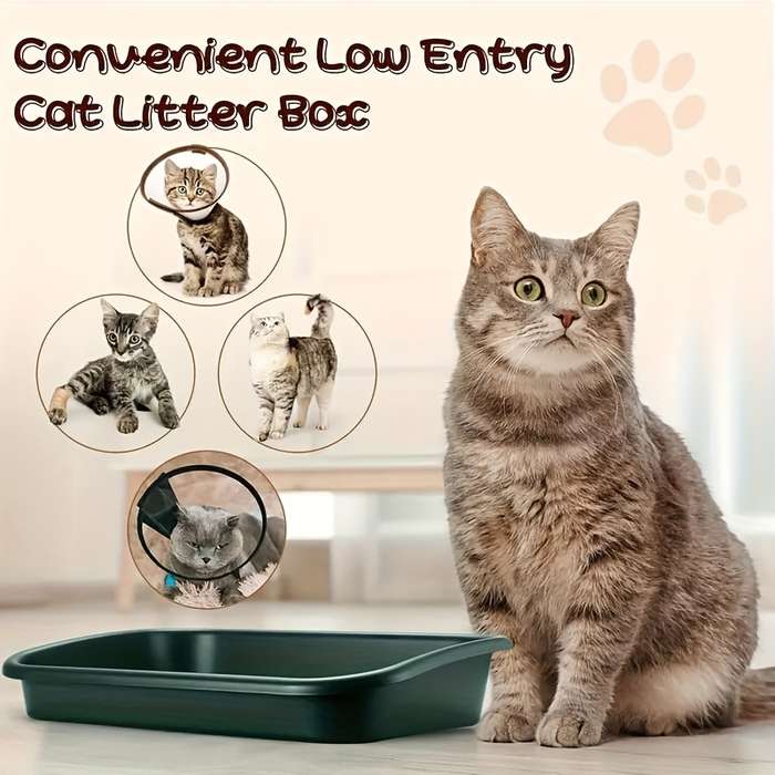 Pet supplies color Green  59x 42
