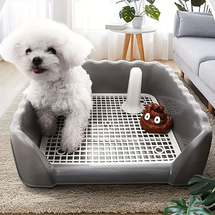 Pet supplies color Blue