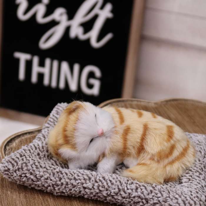 Toy Doll Items Yellow Hy
