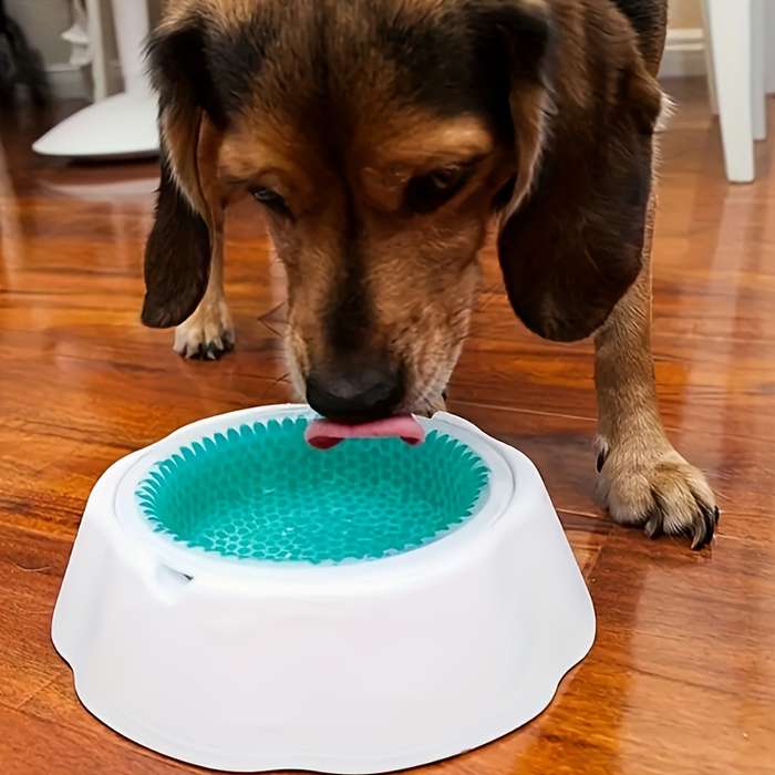 Pet supplies color Blue