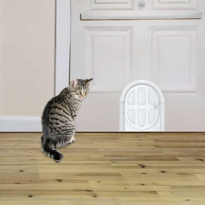 Pet Supplies Color White