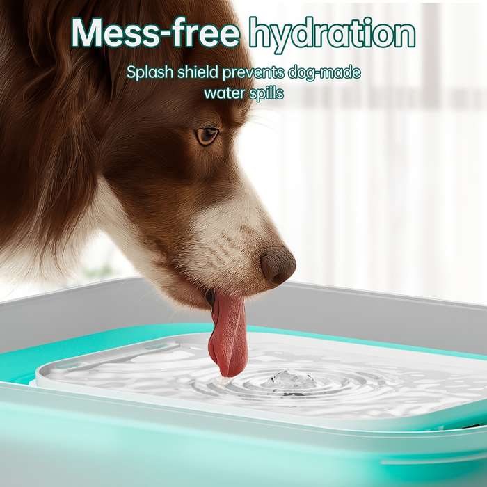 Pet Supplies Model Only Pet Water