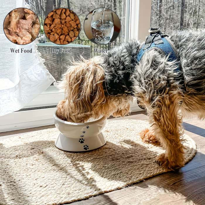 Pet Supplies Color White