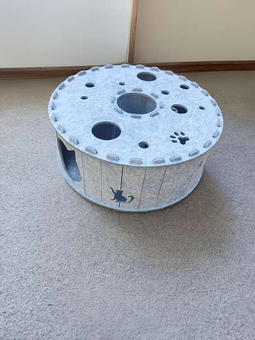 Pet supplies color Grey