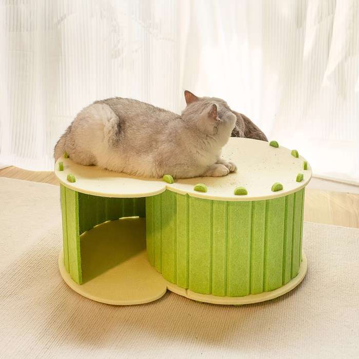 Pet Supplies Color Blue