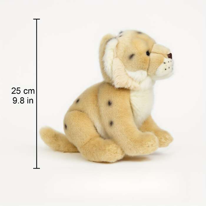 Toy Dolls size 24.89cm