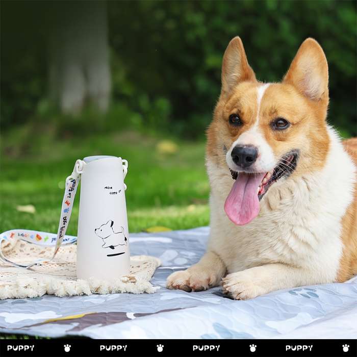 Pet Supplies Color White