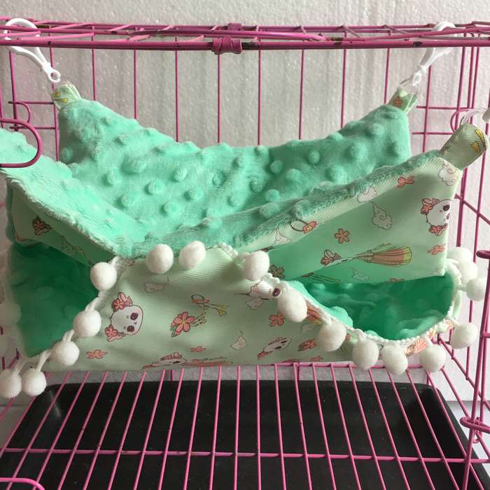Pet Supplies Color Set
